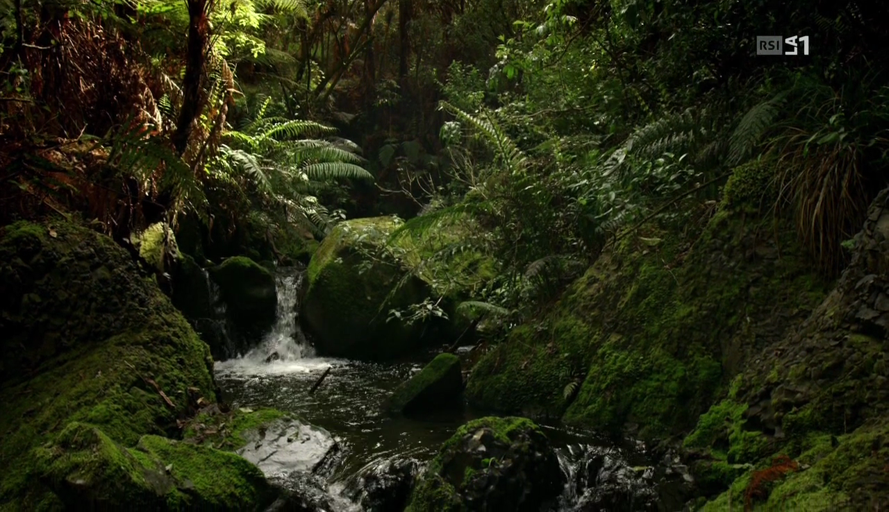 vlcsnap-2017-04-22-14h18m31s271