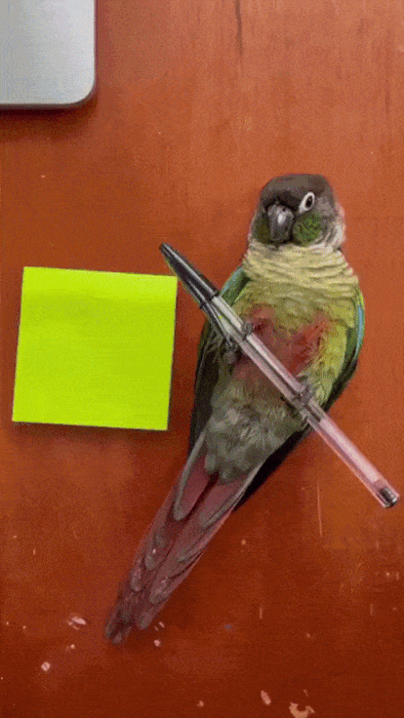 https://i.postimg.cc/6qkXRRPp/3.gif