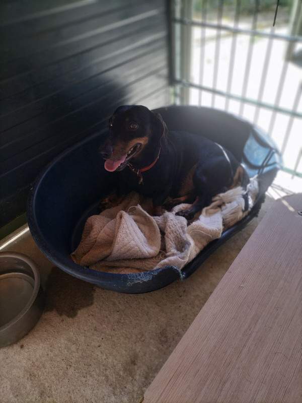 [Image: IMG-20240810-162735.jpg]