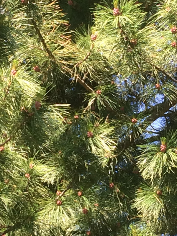 33036B6A-4831-4A99-A999-E4AE2AD1CF22