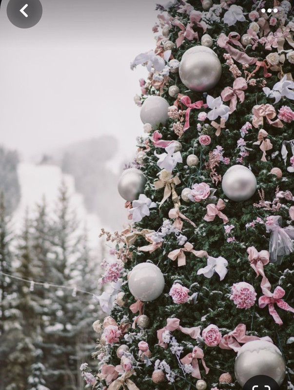 Screenshot_20231225_205435_Pinterest