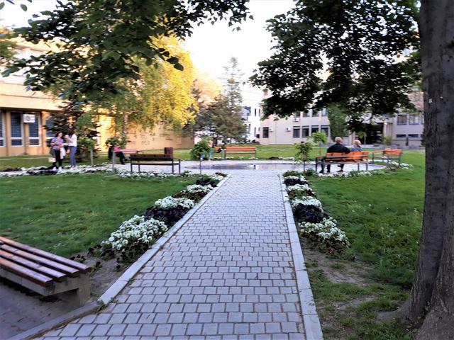 Slika