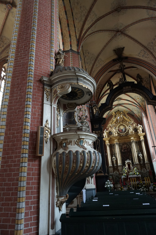 20.30 - DSC08127 (zbychowiec)