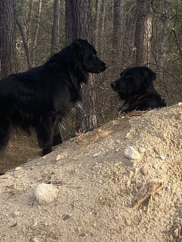 ABBB167A-AEA1-4E4D-A6DF-DECFAECD115A