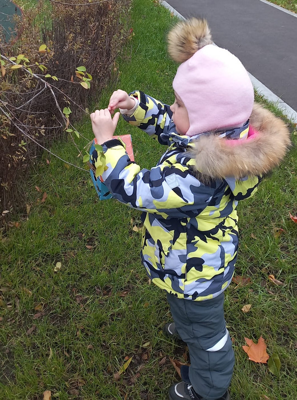 IMG-20241112-WA0016