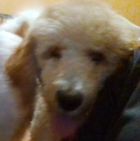 WIN_20230920_07_01_37_Pro (3)