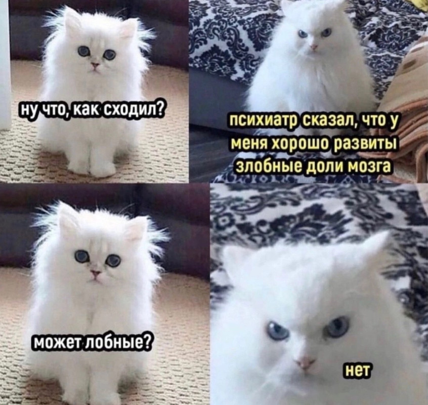 A0B31CA7-F668-4D04-A23E-A5968AC1164A