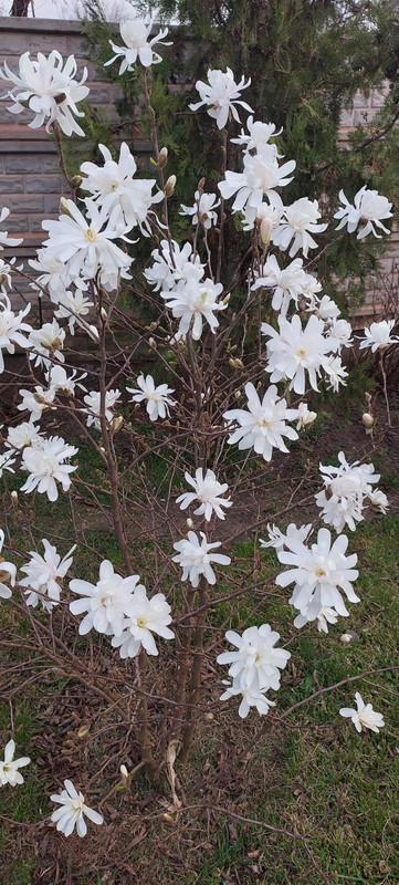 изображение_viber_2024-04-02_18-52-22-651