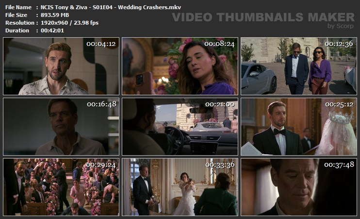 NCIS Tony Ziva S01E04 Wedding Crashers mkv