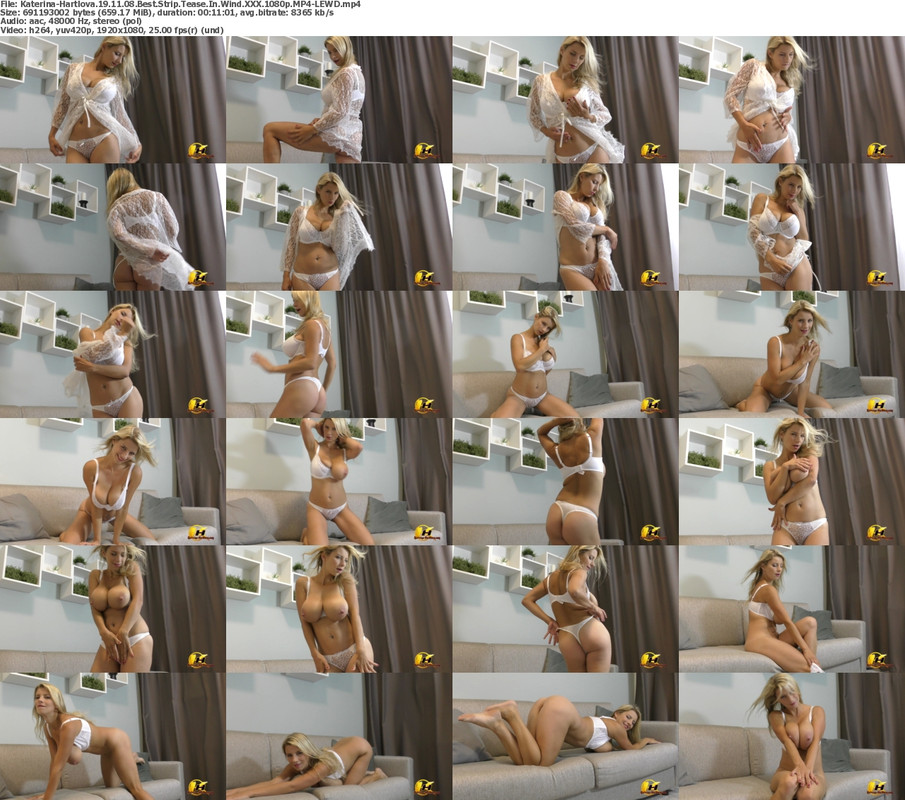 29052024225823screenshot