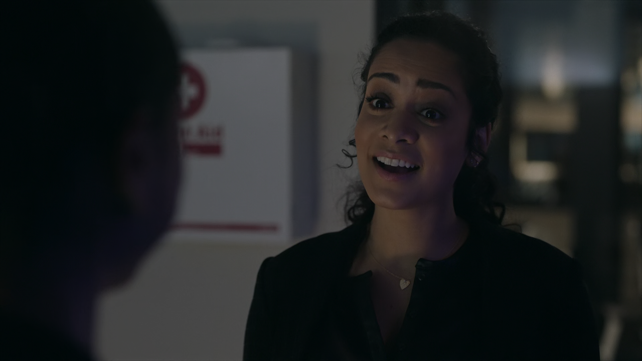 The.Rookie.Feds.S01E21.Bloodline.(2).1080p.10bit.AMZN.WEB-DL.DDP5.1.HEVC-Vyndros.mkv_snapshot_39.28_