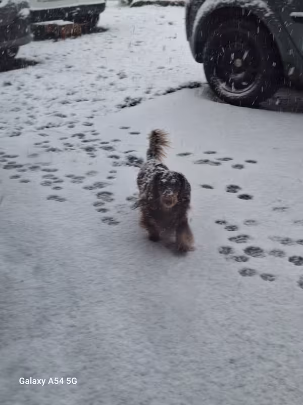 [Image: 20241121-094328.avif]