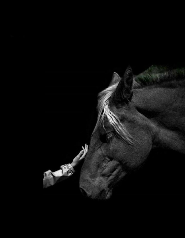 Screenshot_20240409_002834_Pinterest