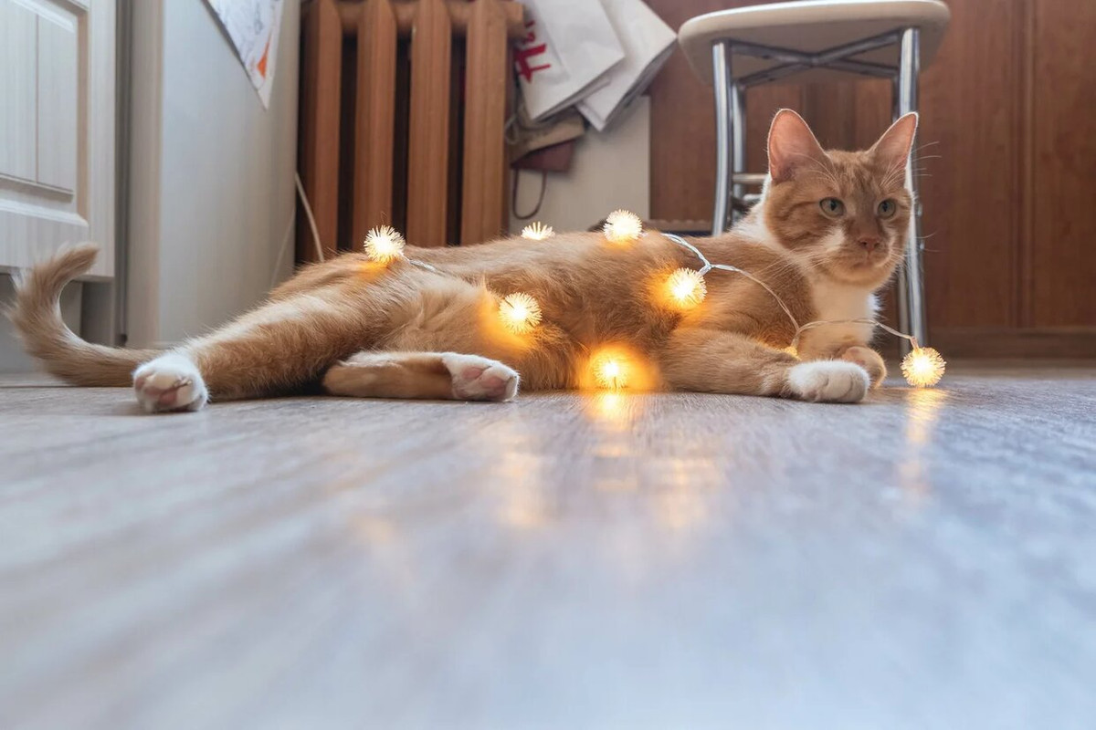 10B70137-7BB5-4D62-BA9B-BEF658A41EE0