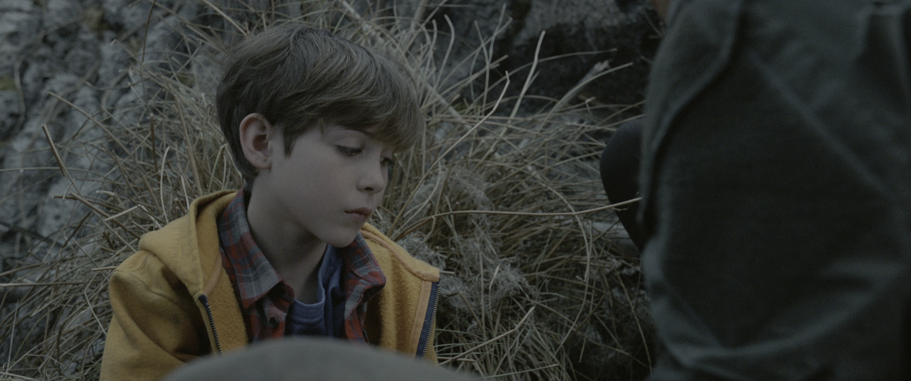 The Predator (2018) [BluRay Rip 2160p HEVC 10bit-HDR ITA-ENG DTS