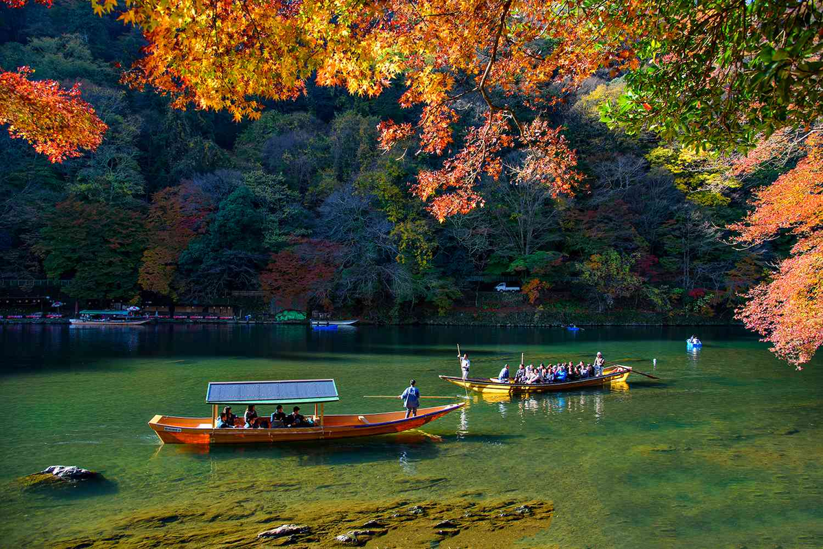Autumn leaves in Japan