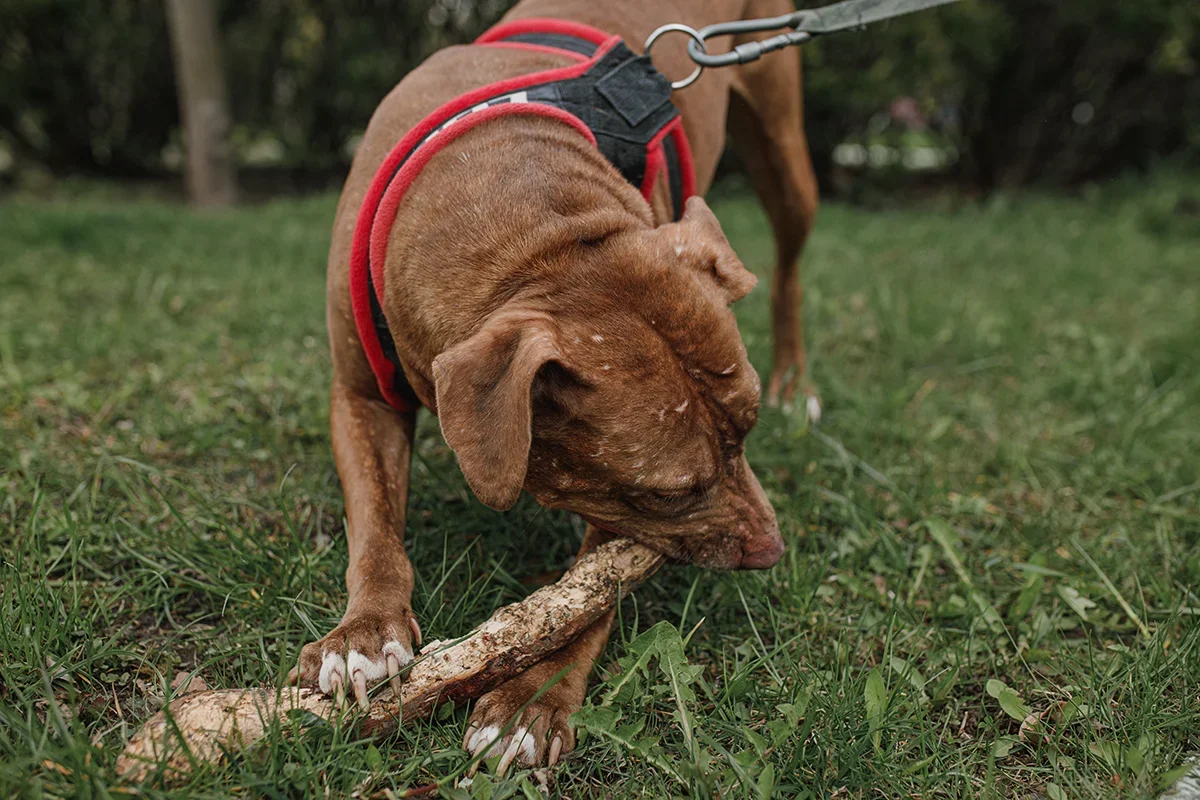 AF4B4E34-CE71-4FC8-9707-4AA5C34A5494