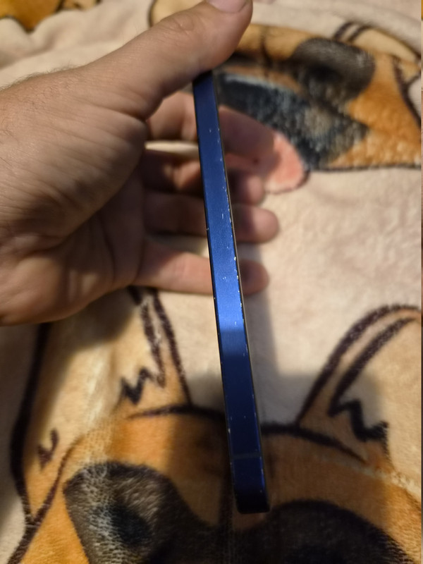 20260919 022909