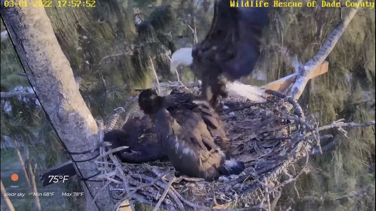 0D406EB7-97B5-4FC1-B239-F9ACF378ABAE