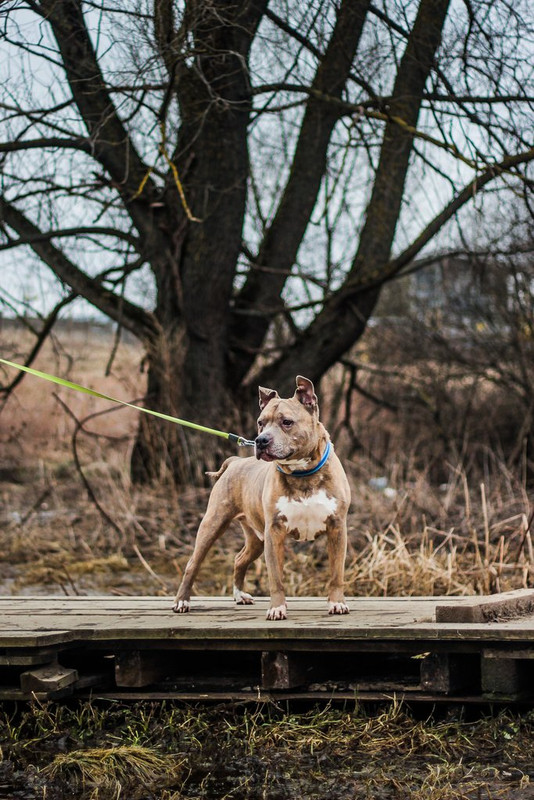 без имени-0556