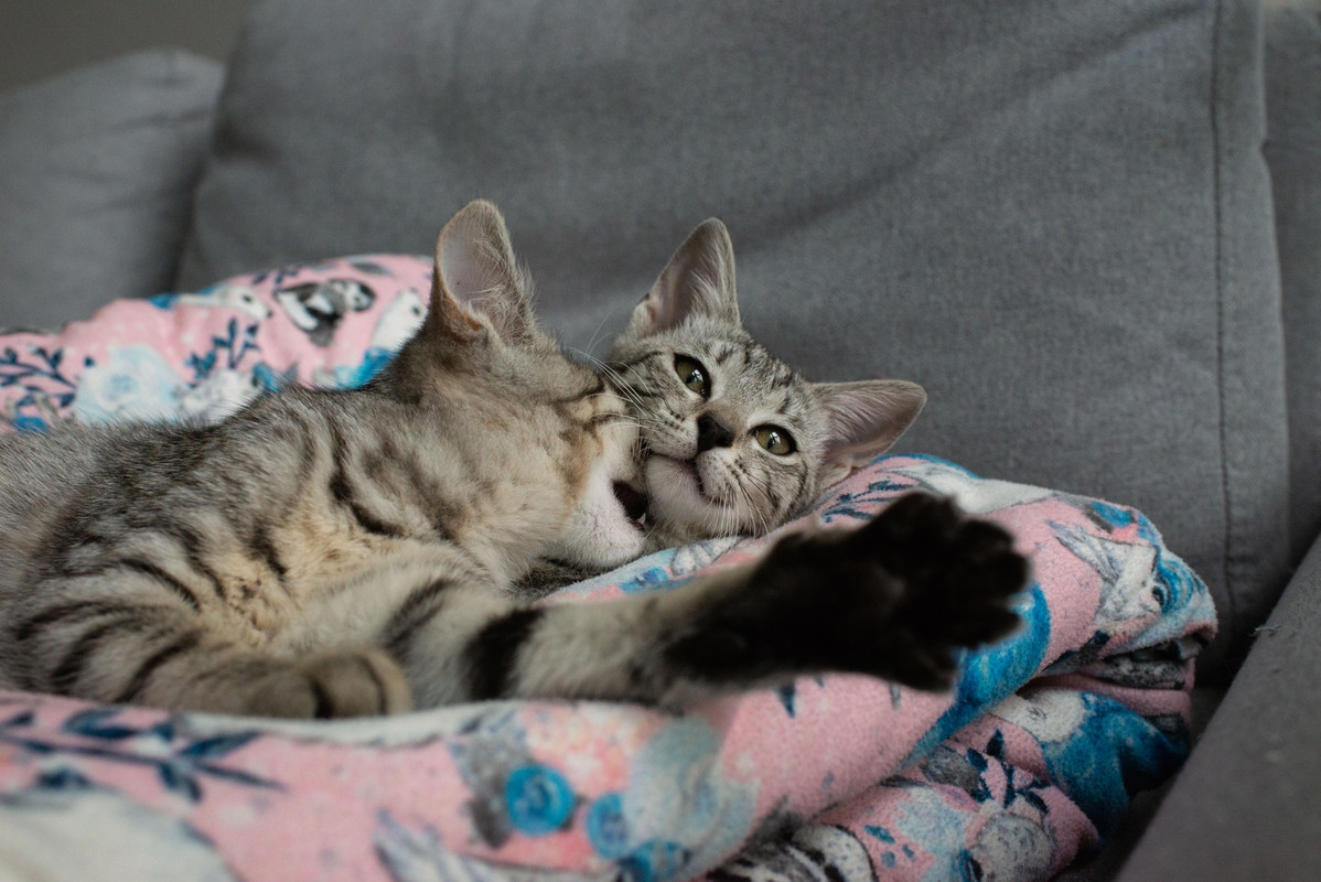 30077525-6E10-4D0B-B762-FA90FA1D5281