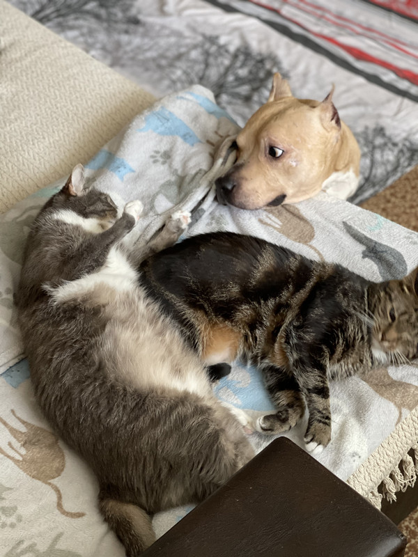 E865DEF4-C4B3-49C5-8B5E-92E5952CF7FC