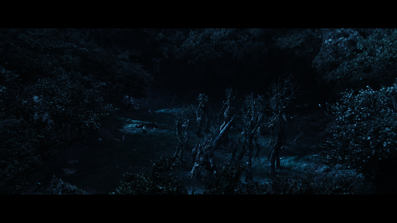 The Lord of the Rings- The Two Towers (EXT.) PT. 2.mkv_snapshot_00.55.46_[2020.12.11_21.31.29]