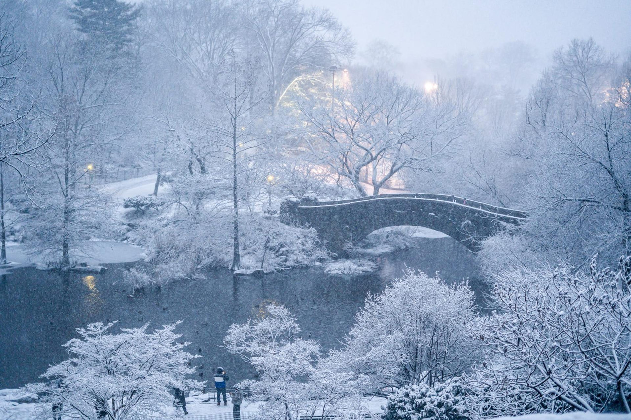 central park snow (14)
