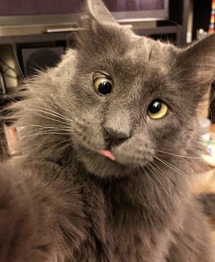 674DE2AC-690F-42EE-A920-B99DF5B1D311