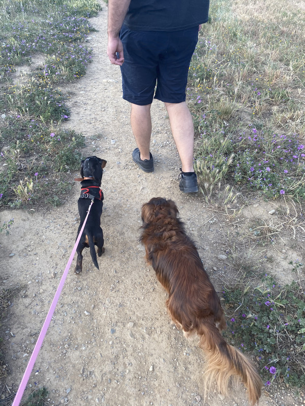 [Image: 3-CA72056-4-FA0-417-A-A887-5-F82-B8-EF5-DEA.jpg]