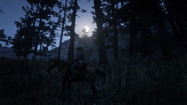 Red Dead Redemption 2_20200625193645