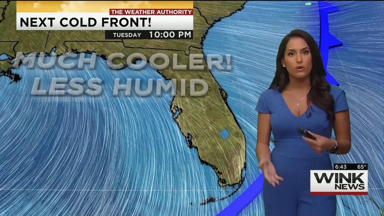 11.28 - 11.00.00 - WINK News This Morning..ts_snapshot_43.51.780