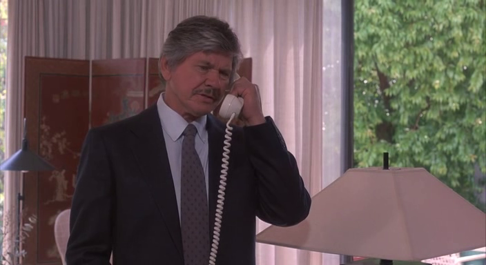 Il-giustiziere-della-notte-4-1987-DVDRip