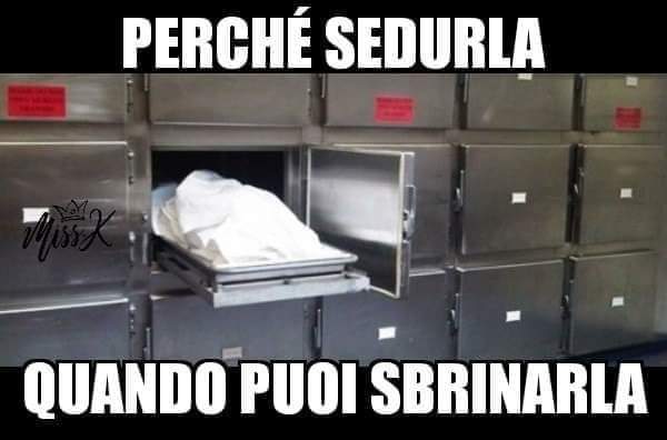 59285400-1406742212801671-7825000663179329536-n