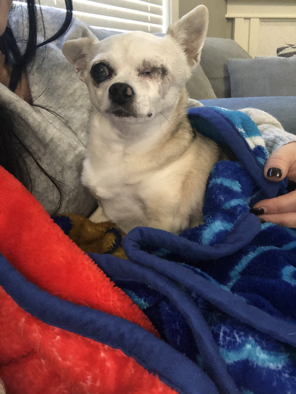 1BD1D030-7BFF-4ACA-87B3-B752F6669202