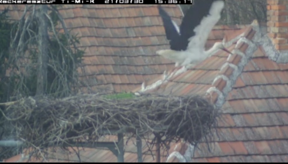 2021-03-30_154252elrepült