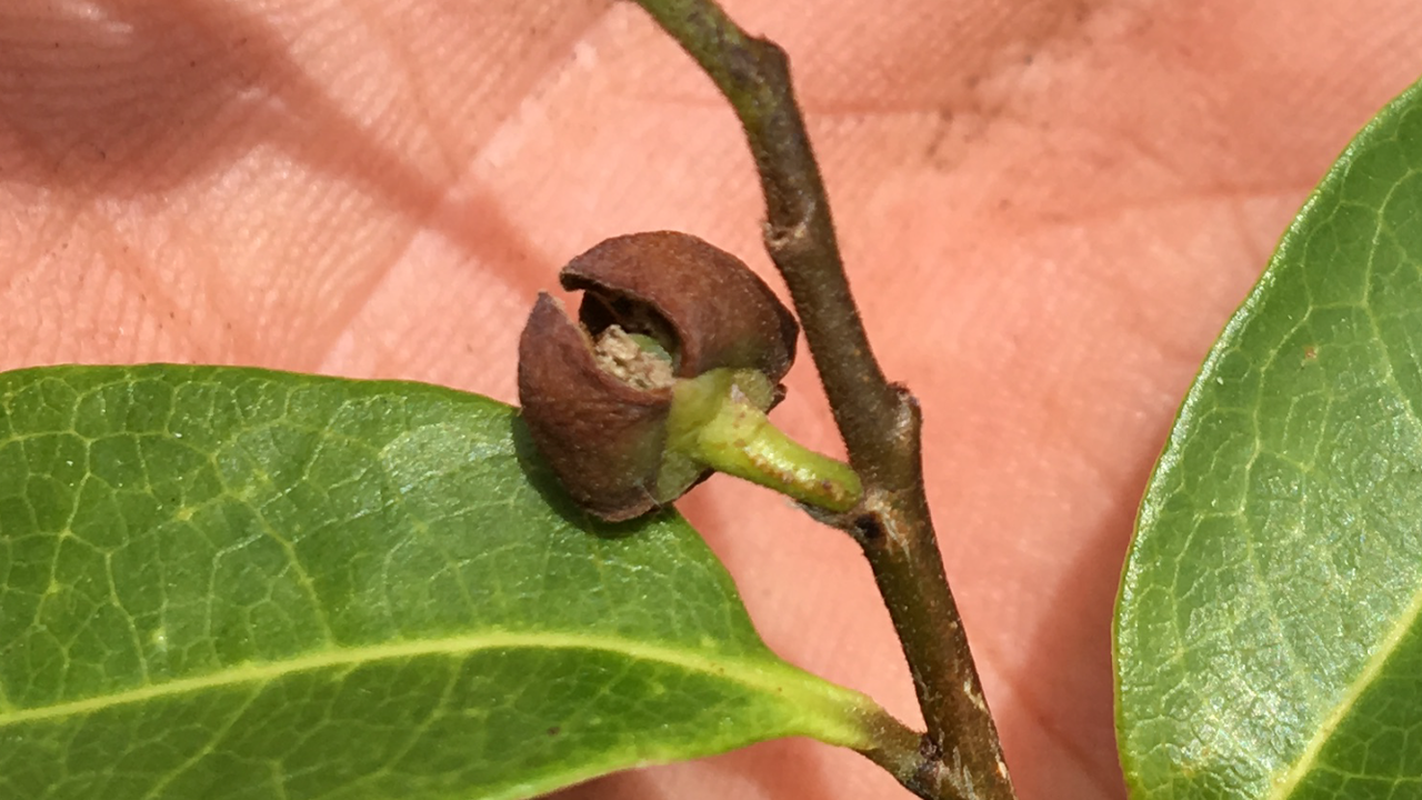 BBDC60C1-02E0-4841-B36D-84BA4A3B6BA6