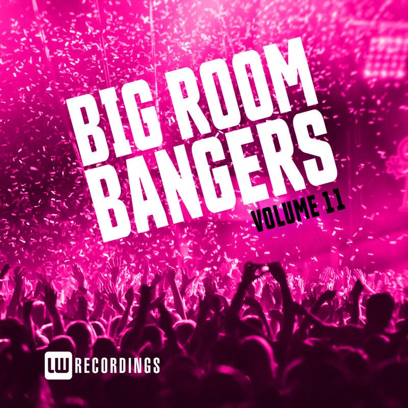 Big Room Bangers, Vol. 11 (2020) mp3 320 Kbps