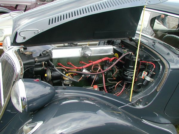 196724541_1139090939923498_529298536390000493_n