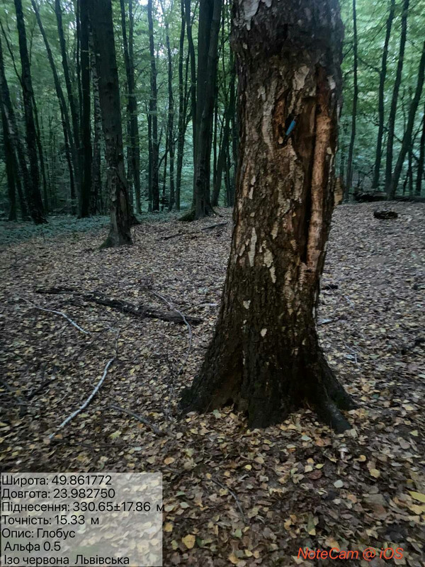 8fa0e916c9c90c30ec34a34576fec6b09428