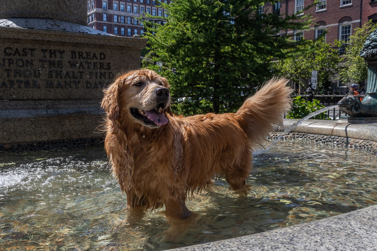 Boston Memorial Day-7
