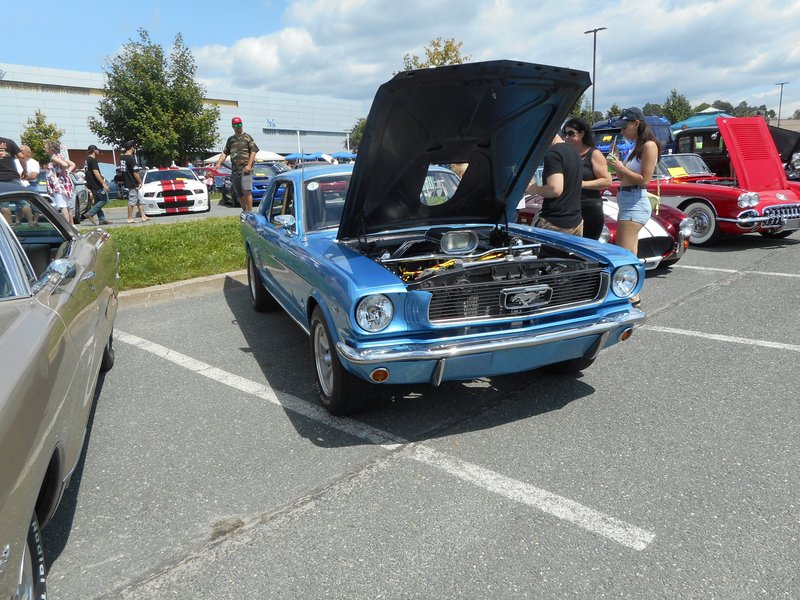 AUTO - Expo D'auto V8 Antique de Ste-Marie - 6 août 2023 V8-23-076