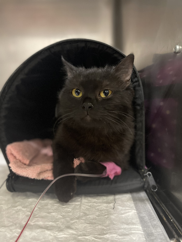 732C0AEA-CB71-4B17-BD35-A263D62862DE