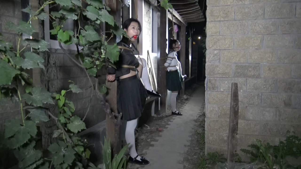 胜景影视 夜晚葡萄棚下调教三女M.mp4_20220727_185220.624