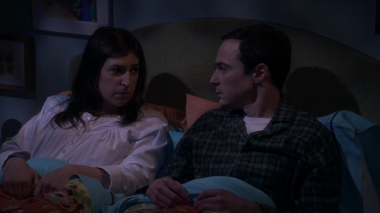 Fotos 06585 The.Big.Bang.Theory.S10E07.1080p.HDTV.X264-DIMENSION