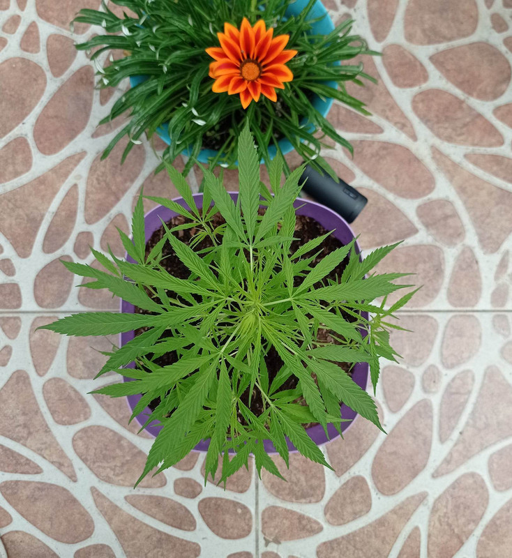 318841366_876117983741060_8617712658256593384_n