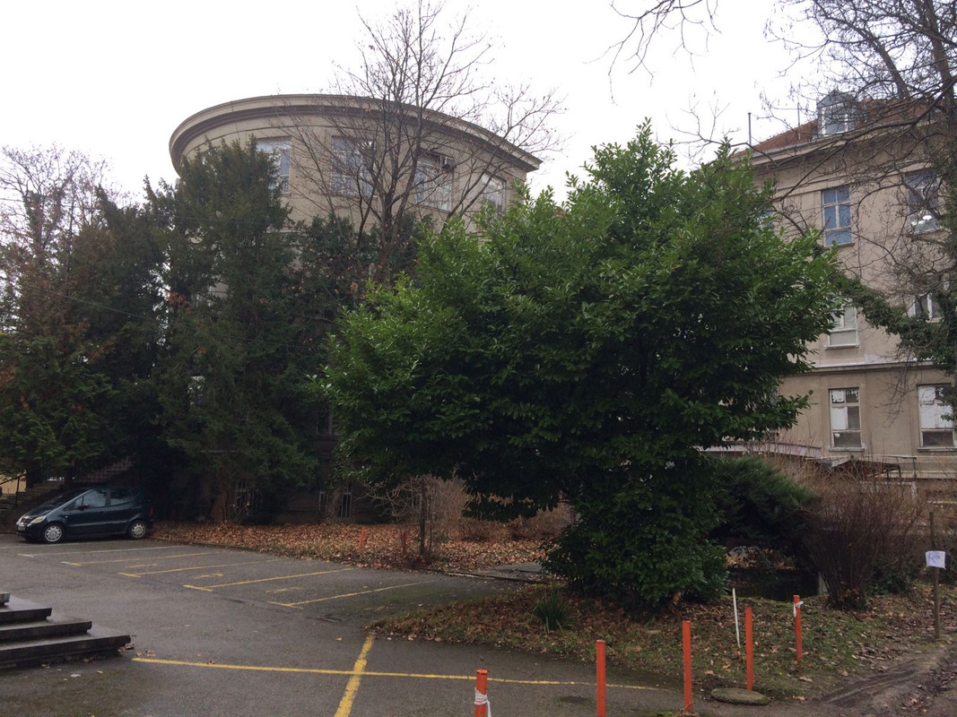 Бесплатная вакцинация туристов в Хорватии