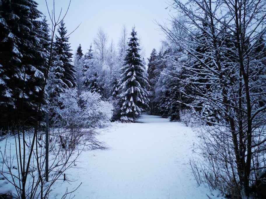 137594635_1092466634540116_3440348215522962054_n