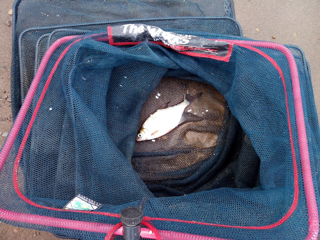 Заостровка 11.08.14 02