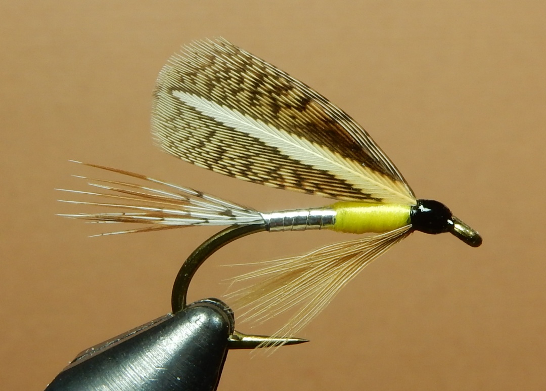 Partridge-1080.jpg